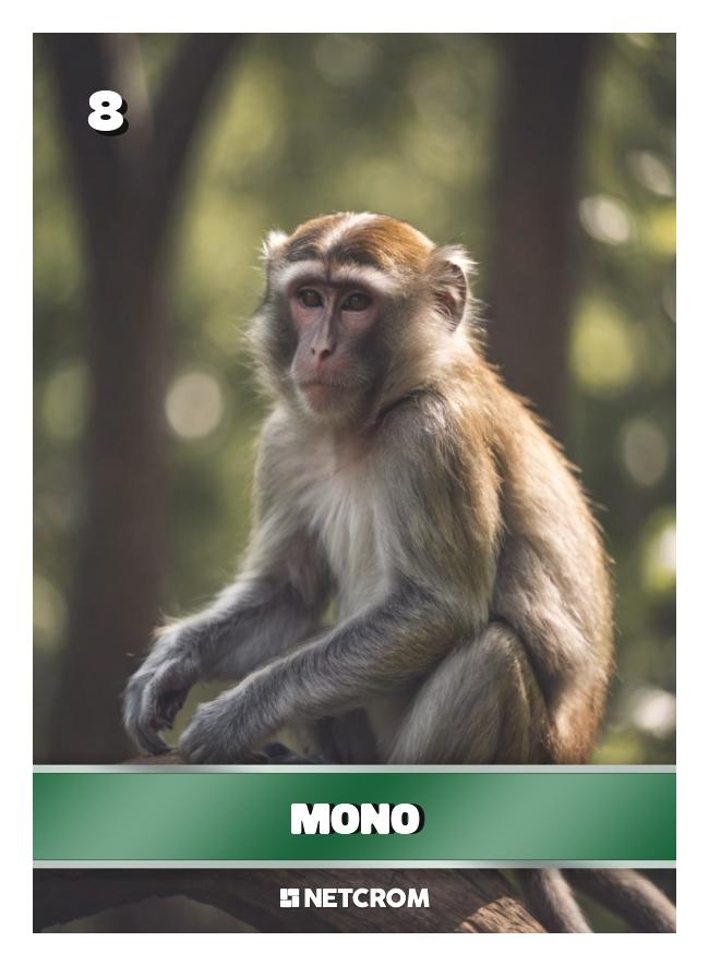 Mono