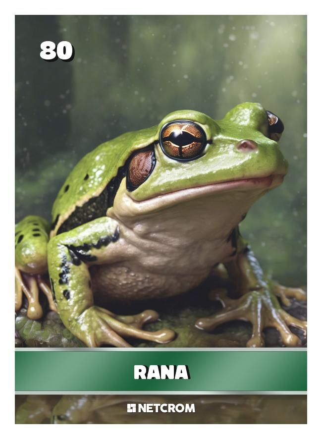 Rana