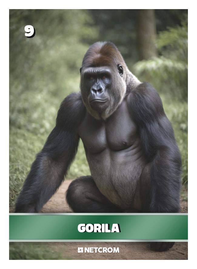 Gorila