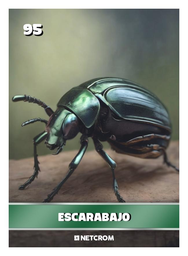 Escarabajo Escarabajo