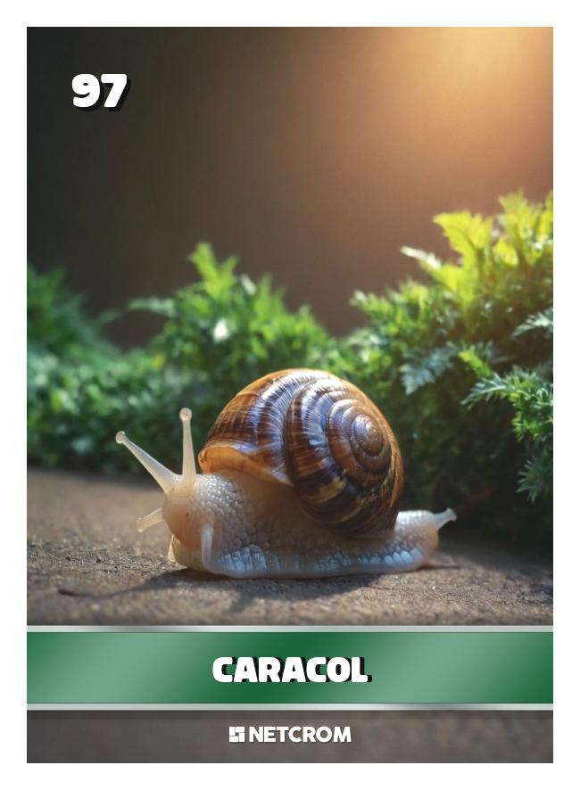 Caracol Caracol