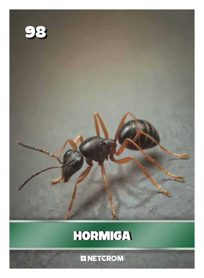 Hormiga Hormiga